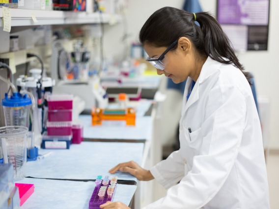 A laboratory scientist looks at pharmaceutical compounds.
